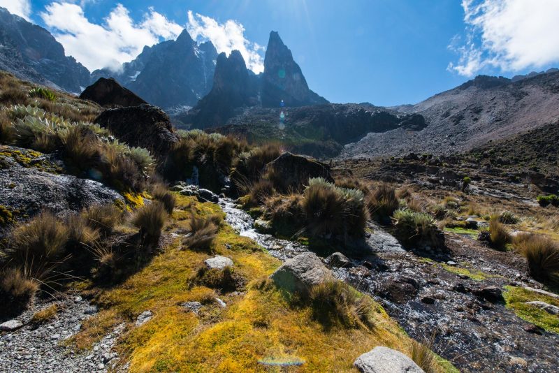 Mt. Kenya National Park