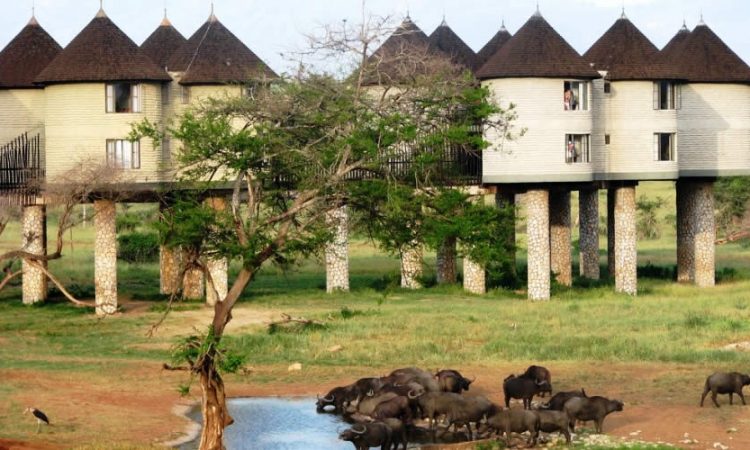 Tsavo East and West National Park