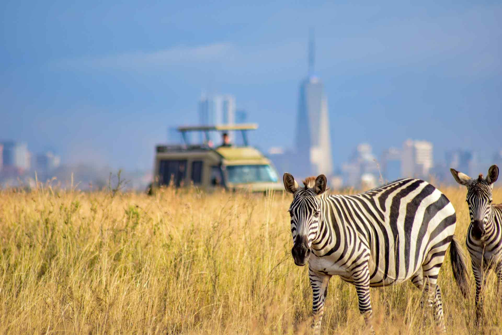 Nairobi National Park