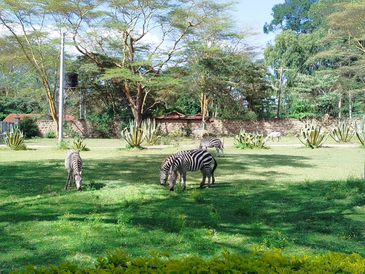 7 Days Kenya Wildlife Epic Adventure 