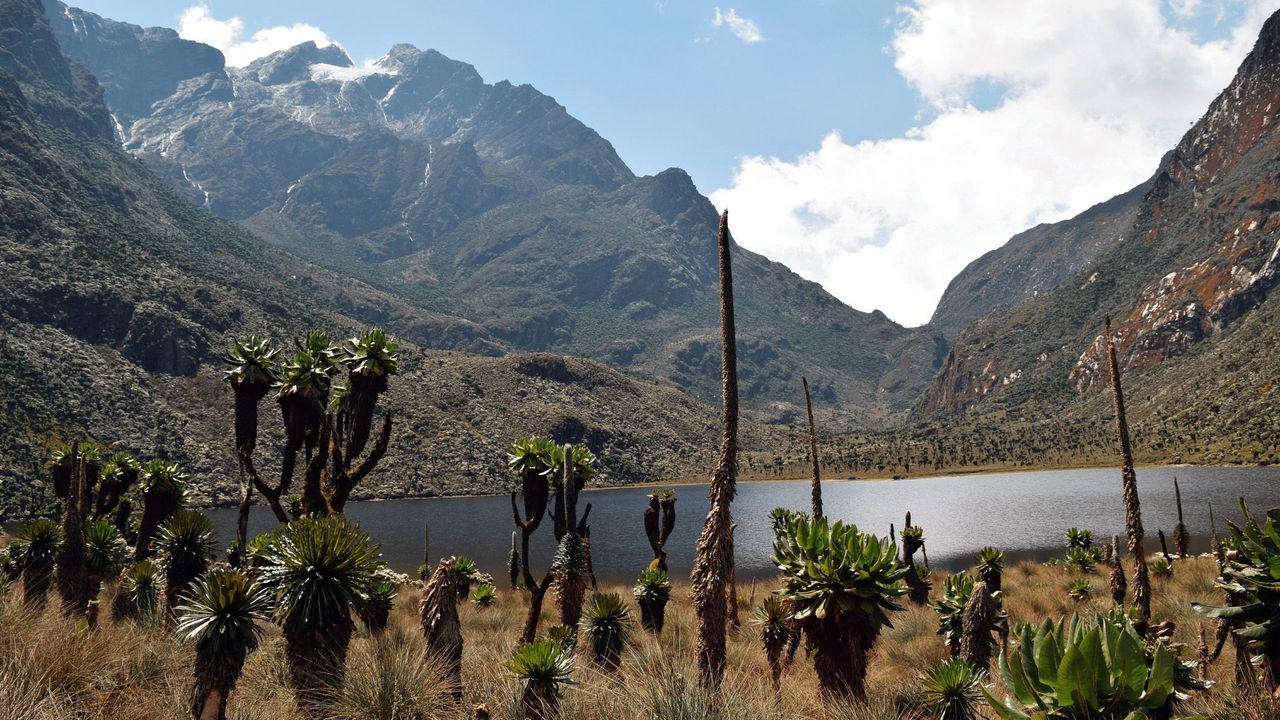 Rwenzori Mountain National Park