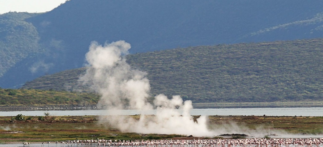 Lake Bogoria National Reserve