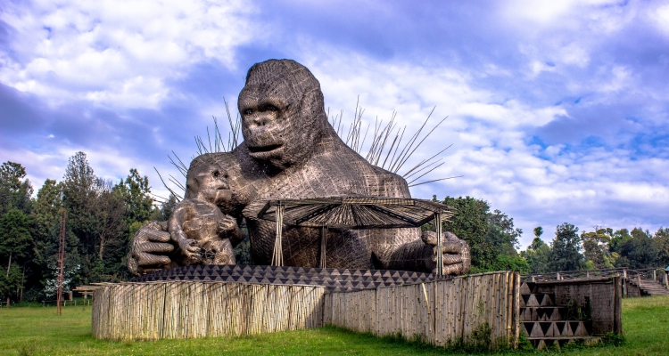 Volcanoes National Park