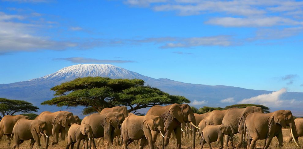 Amboseli National Park